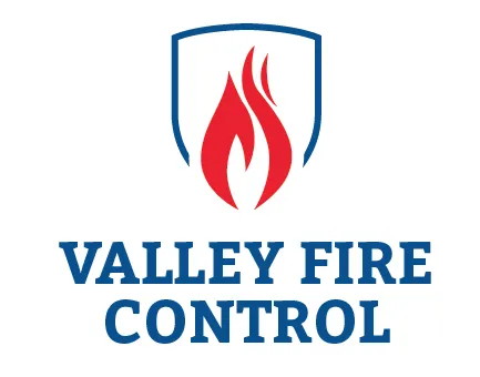 New Valley Fire